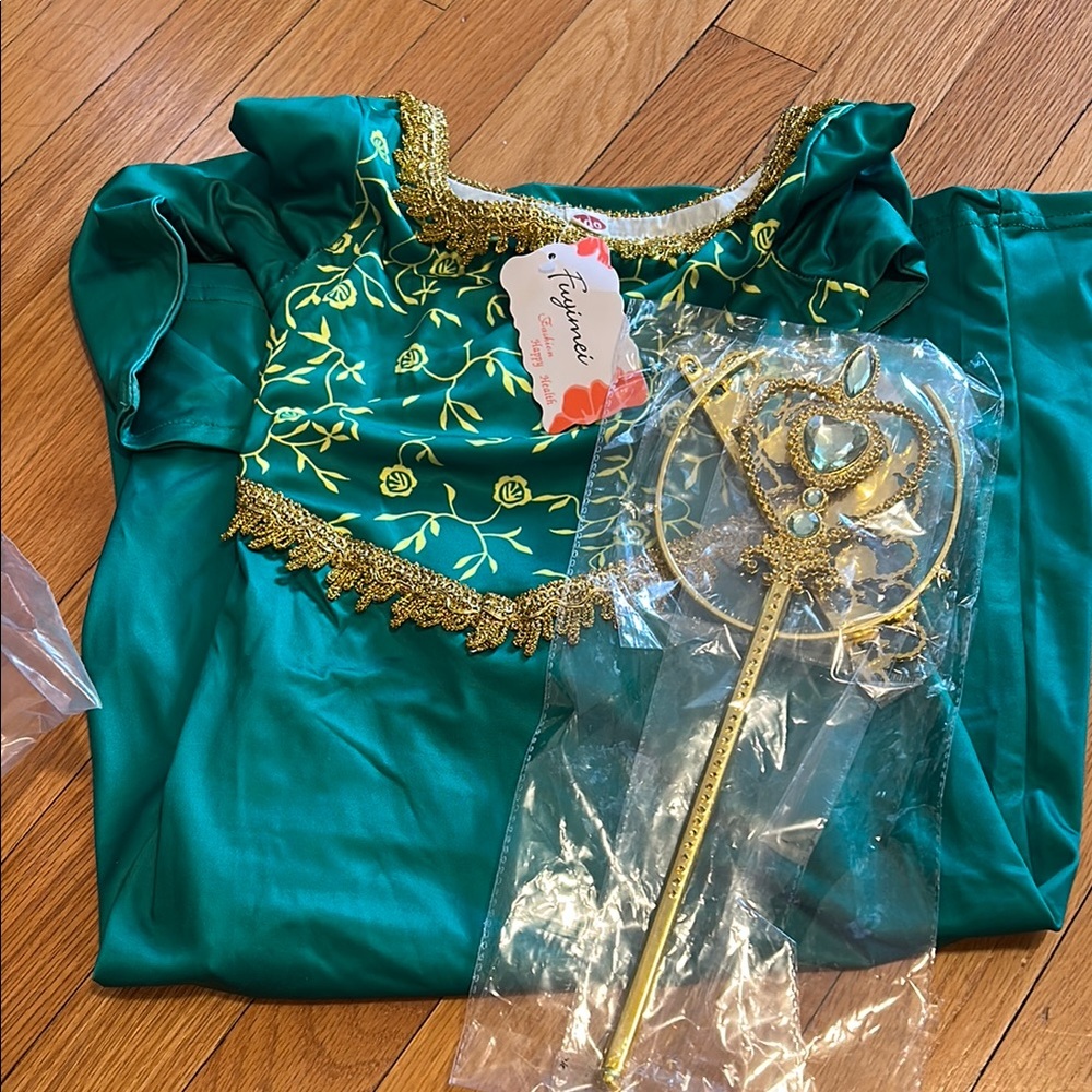 Princess Fiona Costume with tiara, wand, and wig